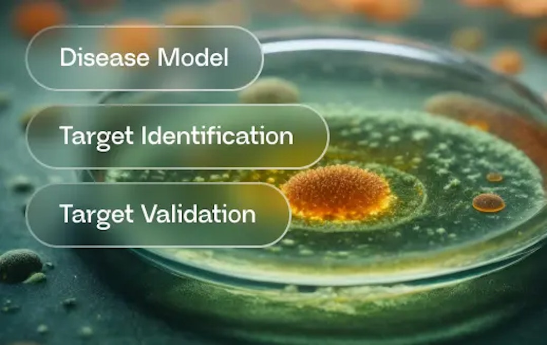 Target Validation